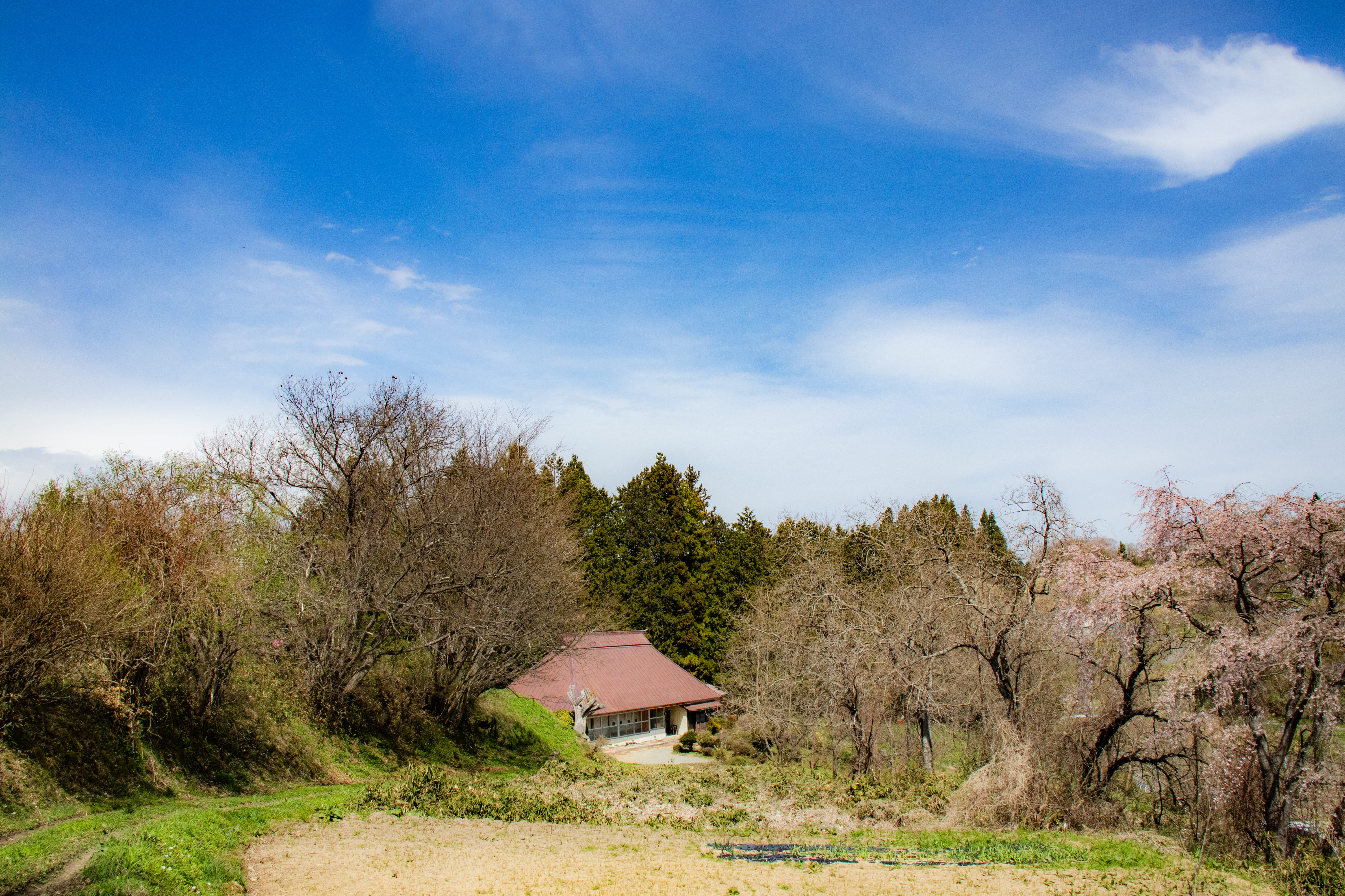 nononowaの風景1